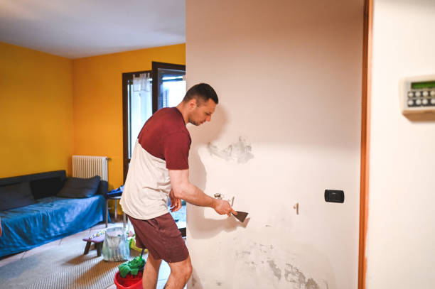 Best Water Damage Restoration  in Carver, MN